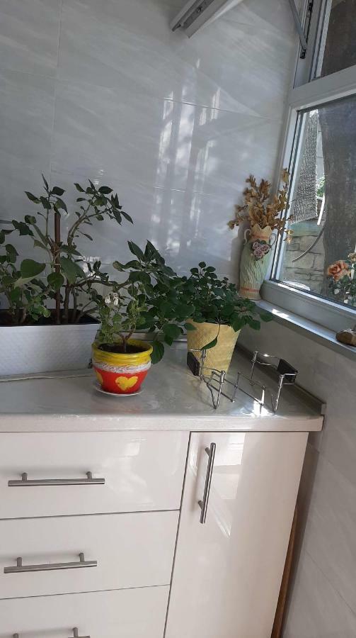 트빌리시 Newly Renovated House 아파트 외부 사진