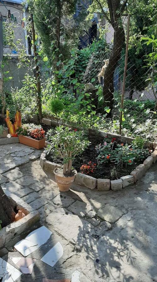 트빌리시 Newly Renovated House 아파트 외부 사진